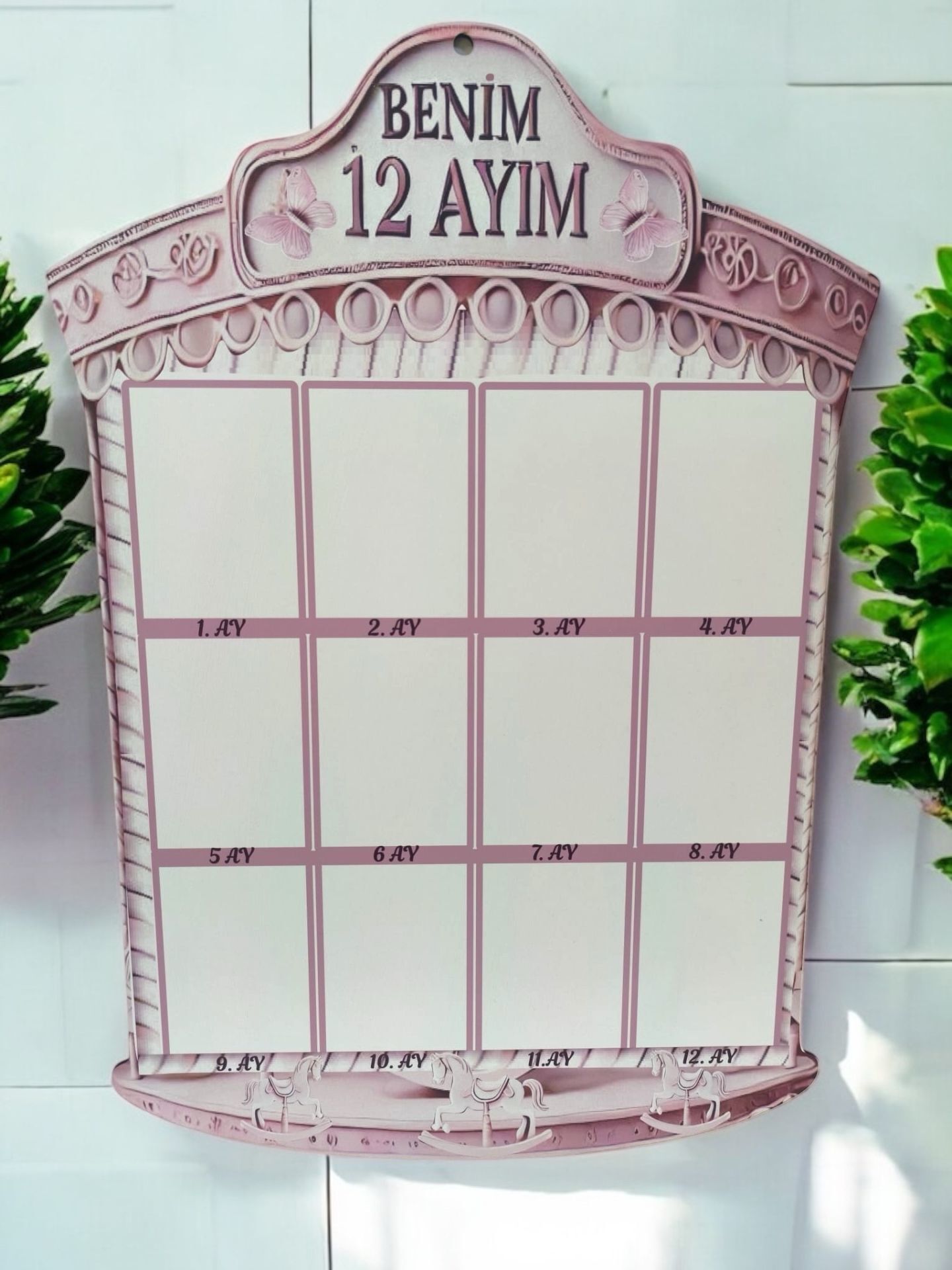 Atlı karınca desenli pudra 12 ay resim panosu