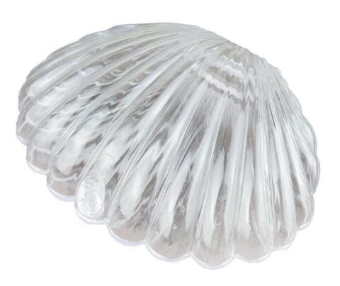 ŞEFFAF İSTİRİDYE İNCİ KUTU PLASTİK