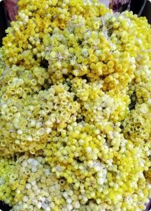 Mimoza Sarı renkli demet çiçek