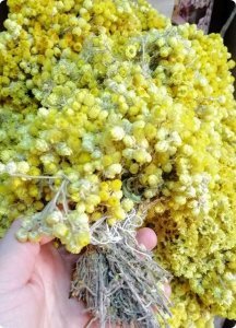 Mimoza Sarı renkli demet çiçek