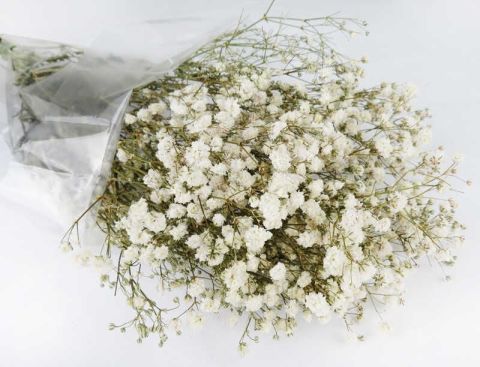 ÇİÇEK DOĞAL CİPSO PK:50 GR BEYAZ KL:35
