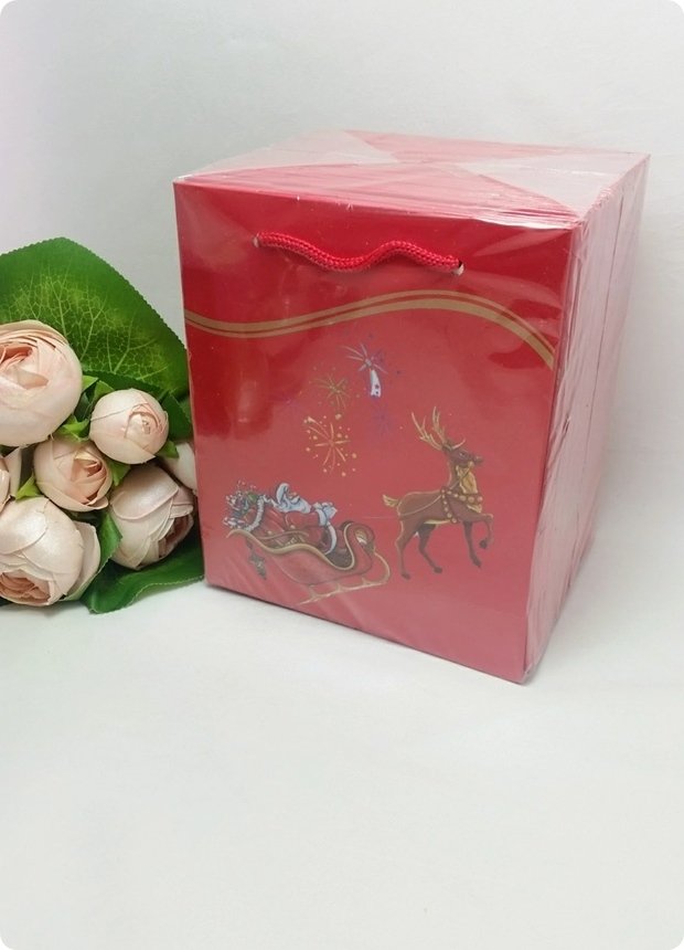 25 Li Yılbaşı Kırmızı Karton Çanta, Poşet 14x17 cm