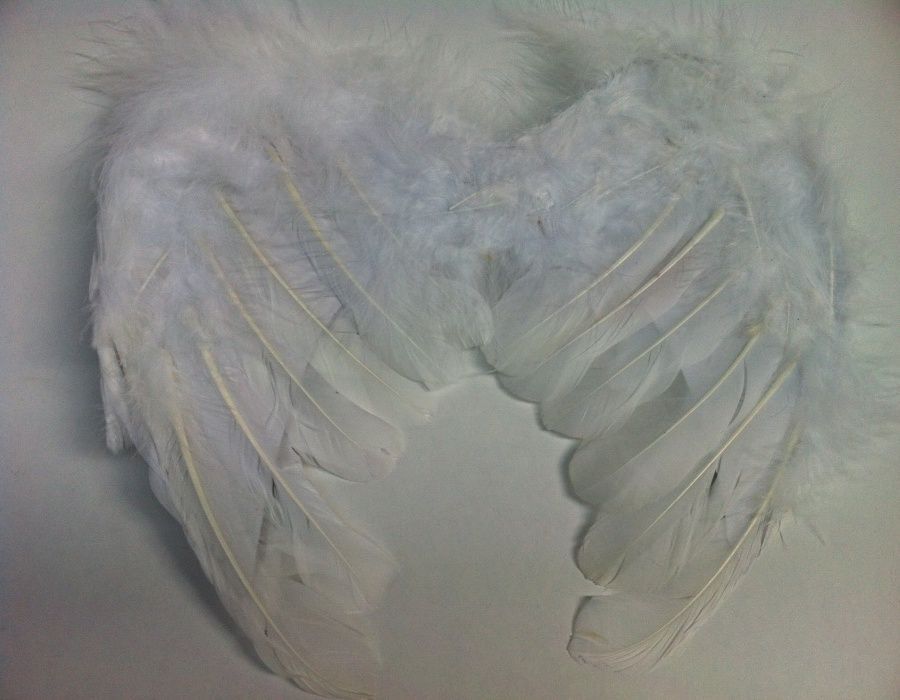 30 cm Melek kanat Kuş Tüyü