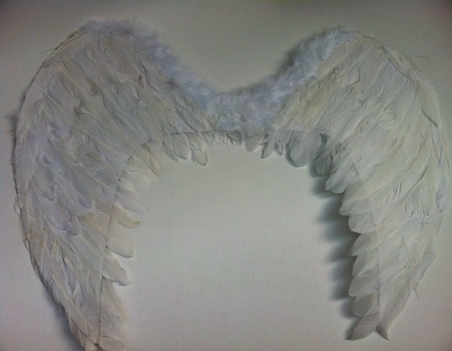 80 cm Melek kanat Kuş Tüyü