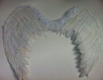 80 cm Melek kanat Kuş Tüyü