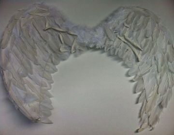 80 cm Melek kanat Kuş Tüyü