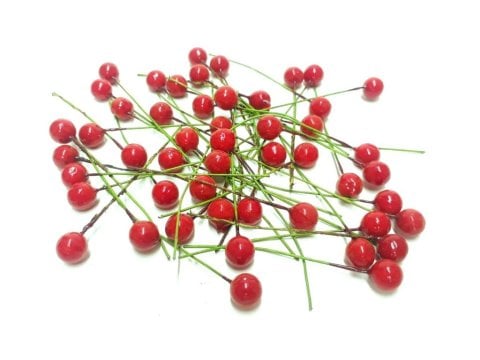 20 Li Top çiçek süs 1 Cm