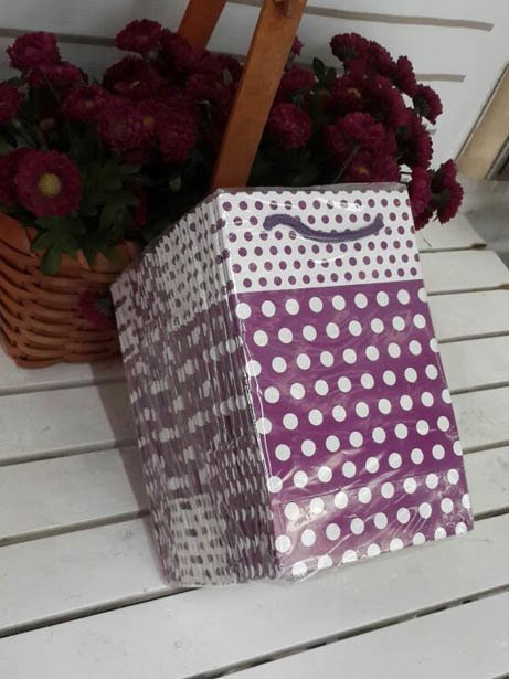 25 Li Mor Puantiyeli Karton Çanta 11x17 Cm