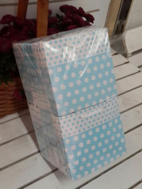 50 Li Mavi'de Puantiyeli Toptan Hediyelik Karton Çanta 11x11 Cm