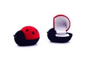 KUTU UĞUR BÖCEKLİ FLOK KAPLAMA