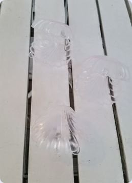İstiridye pvc şeker kutusu