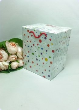 50 Li Karışık Puantiyeli Toptan Hediyelik Karton Çanta / Poşet 11x11 Cm