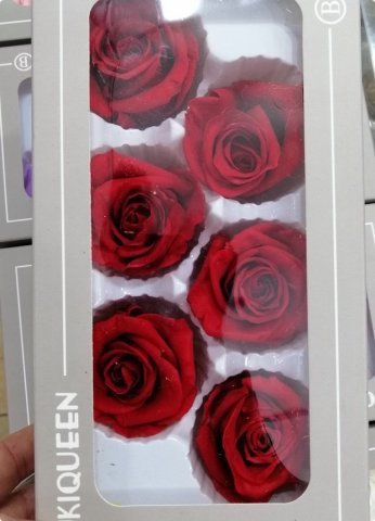 6 Lı Solmayan Gül