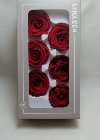 6 Lı Solmayan Gül