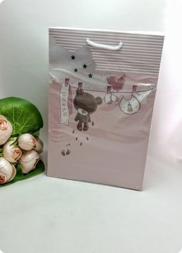 25 Li 17x26 cm Ayıcıklı Selefonlu Karton Çanta / Poşet