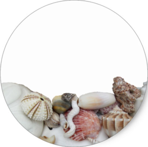 Deniz Nikah Yuvarlak etiket 1 Sayfa (54 adet)