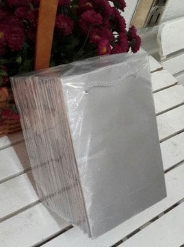 25 Li 11x17  Cm (Pembe,Mavi,Mor,Gümüş)Körüklü Karton Çanta / Poşet