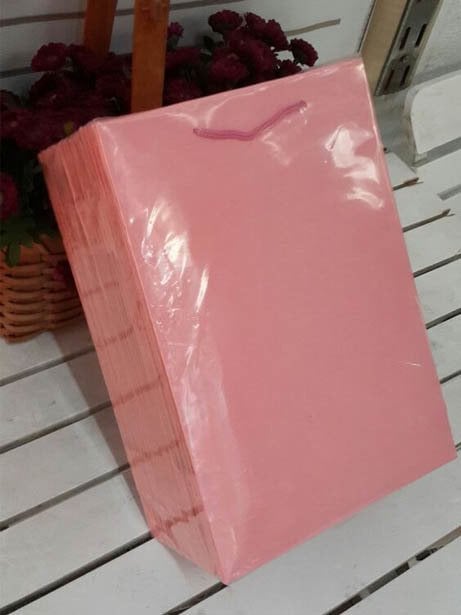 25'Li Pembe Hediyelik Karton Çanta 17x26 Cm