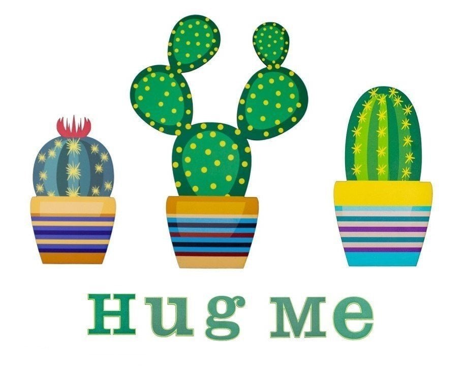 Renkli 3 lü Kaktüs Duvar Süsü