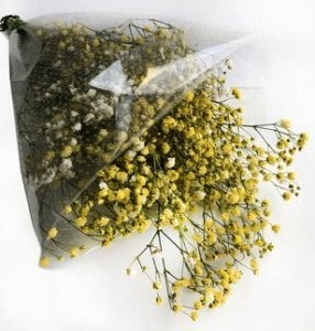 50 GRAM ÇİÇEK DOĞAL CİPSO SARI
