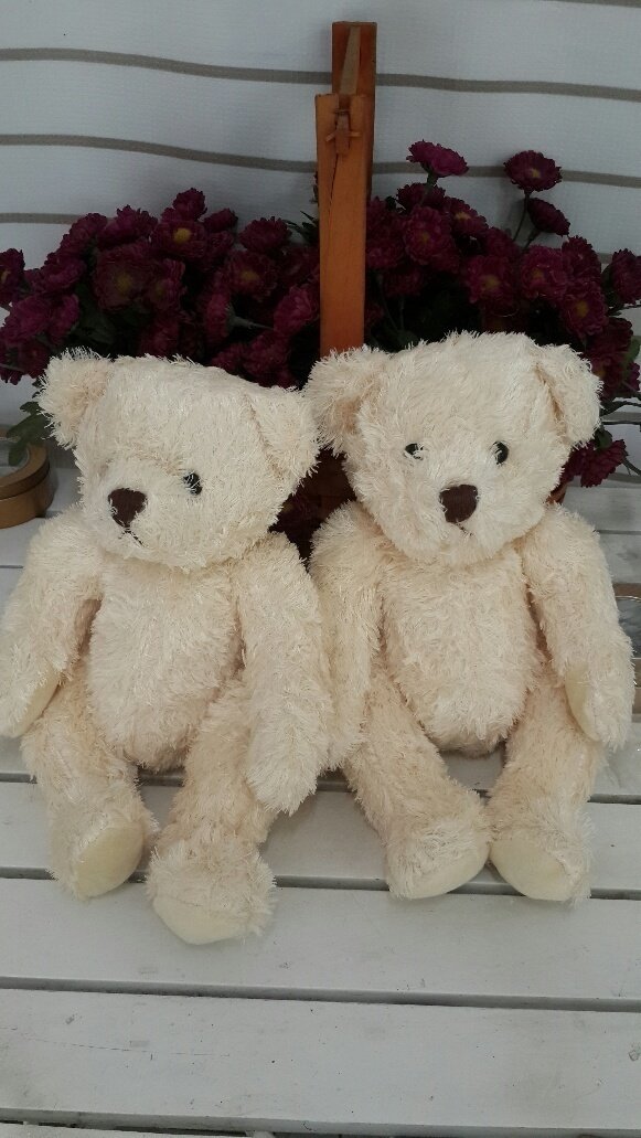 30 Cm Boş Süslemesiz Peluş Ayıcık