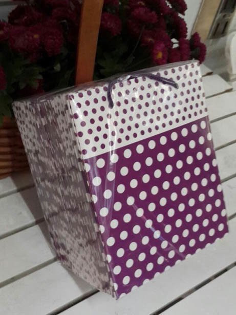 25 Li 14x17 Cm Mor Puantiyeli Körüklü Karton Çanta