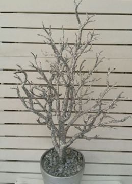 Saksıda Dilek Şeker (kurabiye) Sunum ağacı  90 cm