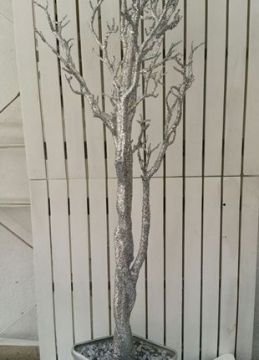 Saksıda Dilek Şeker (kurabiye) Sunum ağacı  120  cm