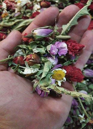 Osmanlı Kış Çayı