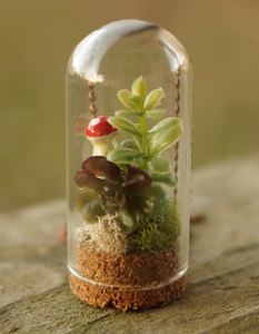 MANTAR TIPALI CAM TERS FANUS DENEY TÜPÜ MODELİ 3x6 CM