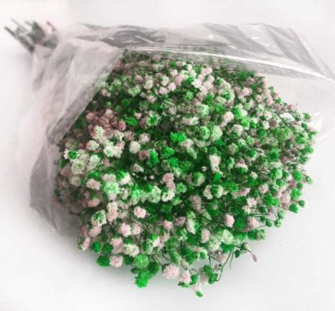 ÇİÇEK CİPSO PK:50 GR YEŞİL KL:35