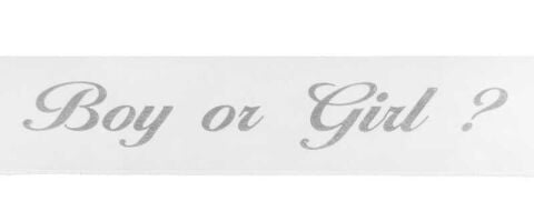 CİNSİYET KUŞAĞI  BOY OR GIRL GÜMÜŞ  2MT