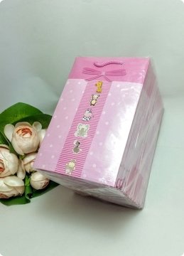 11x17 Cm Fiyonklu Pembe İpli Karton Çanta, Poşet