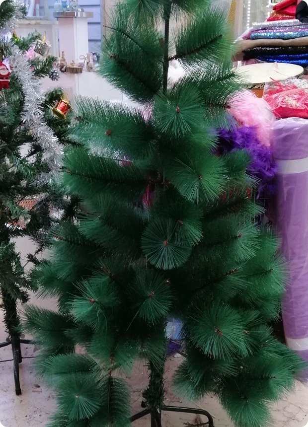120 cm iğneli çam ağacı