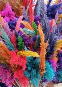 5 li Renkli uzun saplı yapay pampas çiçek